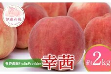 【2026年出荷分先行予約】福島県産 幸茜 約2㎏ (4～7玉) 菅野農園FruitsProvider さちあかね 大玉 固め 伊達の桃 桃 フルーツ 果物 もも モモ momo F20C-638