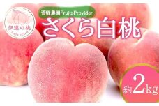 【2026年出荷分先行予約】福島県産 さくら白桃 約2kg (4～7玉) 菅野農園FruitsProvider 大玉 固め 白桃 伊達の桃 フルーツ 果物 もも モモ momo F20C-639