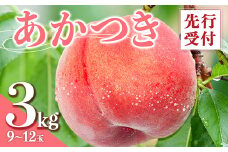 福島県産 あかつき 3kg 2025年7月下旬～2025年8月上旬発送 2025年出荷分 先行予約 予約 伊達の桃 桃 もも モモ 果物 くだもの フルーツ 名産品 国産 食品 F20C-637