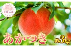 【2026年出荷分先行予約】福島県産 あかつき 約3㎏ (9～12玉) 枝並農園 伊達の桃 桃 フルーツ 果物 もも モモ momo F20C-637