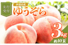 福島県産 ゆうぞら 3kg 2025年8月中旬～2025年9月上旬発送 2025年出荷分 先行予約 予約 小さめ 固め 伊達の桃 桃 もも モモ 果物 くだもの フルーツ 国産 食品 F20C-642
