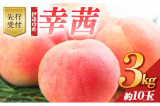 福島県産 幸茜 3kg 2025年8月中旬～2025年9月中旬発送 2025年出荷分 先行予約 予約 さちあかね 伊達の桃 大玉 固め 桃 もも モモ 果物 くだもの フルーツ 国産 食品 F20C-643