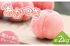 【2026年出荷分先行予約】福島県産 あかつき 約2kg (5～7玉) 岡崎ファーム 伊達の桃 桃 フルーツ 果物 もも モモ momo F20C-645