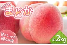 【2026年出荷分先行予約】福島県産 まどか 約2kg (5～7玉) 岡崎ファーム 大玉 固め 伊達の桃 桃 フルーツ 果物 もも モモ momo F20C-644