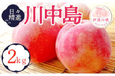 福島県産 川中島白桃 2kg 2025年8月中旬～2025年8月下旬発送 2025年出荷分 先行予約 予約 白桃 大玉 伊達の桃 桃 もも モモ 果物 くだもの フルーツ 国産 食品 F20C-646