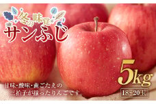 冬の味覚 りんご サンふじ 5kg（18～20玉） 福島県 伊達市 林檎 リンゴ フルーツ 果物 産地直送 F20C-661