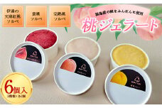 福島産の桃をふんだんに使った桃ジェラート6個入 天津紅桃 黄桃 完熟桃 ソルベ アイス モモ もも スイーツ 福島県 伊達市 F20C-654