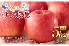 冬の味覚 りんご サンふじ 大玉 5kg（10～16玉） 福島県 伊達市 林檎 リンゴ フルーツ 果物 産地直送 F20C-662