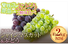 ＜2023年秋発送＞青果店が厳選したぶどう2種 味比べ シャインマスカット＆ぶどう 2房ずつ 合計約2kg フルーツ 果物 ぶどう ピオーネ マスカット デザート 福島県 伊達市 F20C-670