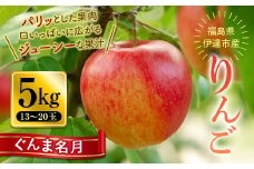 秋の味覚 りんご ぐんま名月 5kg（13～20玉） 福島県 伊達市 林檎 リンゴ フルーツ 果物 産地直送 蜜 F20C-650