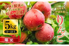 秋の味覚 りんご 陽光 （ようこう） 5kg（14～23玉） 福島県 伊達市 林檎 リンゴ フルーツ 果物 産地直送 珍しい F20C-652