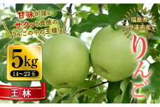 秋の味覚 りんご 王林 （おうりん） 5kg（14～23玉） 福島県 伊達市 林檎 リンゴ フルーツ 果物 産地直送 甘い F20C-653