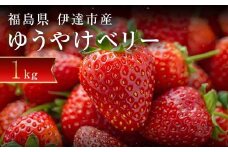 ＜2026年発送＞＜限定＞新品種のいちご 福島県 オリジナル品種「ゆうやけベリー」約1kg（250g×4パック）イチゴ 苺 フルーツ 果物 伊達市 F20C-678