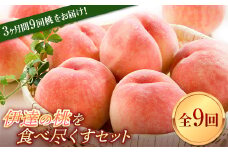 定期便 福島県産 伊達の桃を食べ尽くすセット 全9回 各約2kg 2025年出荷分 先行予約 7月上旬頃から順次発送 伊達の桃 はつひめ ふくあかり あかつき まどか おどろき 川中島白桃 黄貴妃 ゆうぞら さくら白桃 桃 白桃 もも モモ 果物 くだもの フルーツ 国産 名産 食品 F20C-632