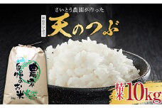 2025年産米 さいとう農園が作った天のつぶ 精米10kg 白米 【先行予約】2025年10月中旬から順次発送 ご飯 ごはん ライス 伊達市 F21C-168
