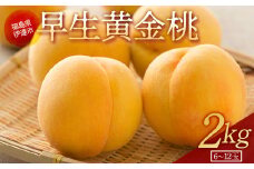 福島県産 早生黄金桃 2kg 2024年7月上旬～2024年7月中旬発送 先行予約 予約 伊達の桃 柔らかい 桃 もも モモ 果物 くだもの フルーツ 国産 食品 F20C-690