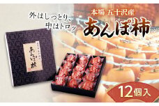 本場 五十沢産 あんぽ柿 12個入 干し柿 ドライフルーツ カキ かき フルーツ 和菓子 F20C-692