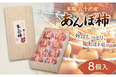 本場 五十沢産 あんぽ柿 8個入 干し柿 ドライフルーツ カキ かき フルーツ 和菓子 F20C-691