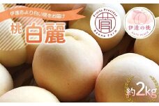 【2026年出荷分先行予約】福島県産 白麗 約2kg (5～7玉) 菅野農園FruitsProvider 白い桃 限定 伊達の桃 桃 フルーツ 果物 もも モモ momo F20C-730