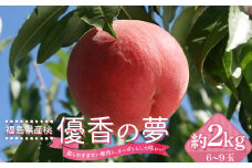福島県産 伊達市で開発 優香の夢 約2kg 2025年9月上旬～2025年9月中旬発送 2025年出荷分 先行予約 予約 数量限定 ゆうかのゆめ 伊達の桃 桃 もも モモ 果物 くだもの フルーツ 国産 食品 F20C-729