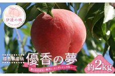 【2026年出荷分先行予約】福島県産 優香の夢（ゆうかのゆめ） 約2kg (6～9玉) 高橋もも園 ゆうかのゆめ 伊達市で開発 数量限定 伊達の桃 桃 フルーツ 果物 もも モモ momo F20C-729