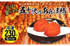 年中楽しめるあんぽ柿230g×5パック（冷凍） F20C-737