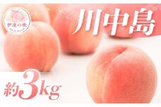 【2026年出荷分先行予約】福島県産 特秀 川中島白桃 約3kg (9～12玉) ふくしま未来農業協同組合 特秀 透過式光センサー選別 白桃 大玉 伊達の桃 桃 フルーツ 果物 もも モモ momo F20C-778