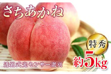 2025年出荷分 《先行予約》 福島県産 さちあかね 約5kg 特秀 糖度12度以上 透過式光センサー選別 2025年8月中旬～2025年9月中旬発送 先行予約 予約 伊達の桃 固め 桃 もも モモ 果物 くだもの フルーツ 国産 食品 F20C-779