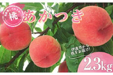 福島県産 あかつき 2.3kg 2025年7月中旬～2025年8月上旬発送 2025年出荷分 先行予約 予約 伊達の桃 桃 もも モモ 果物 くだもの フルーツ 名産品 国産 食品 F20C-783