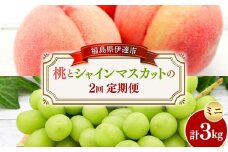 桃とシャインマスカットの定期便（ミニ） 福島の桃 果物 先行予約 フルーツ 桃 モモ もも 葡萄 ブドウ ぶどう 福島県 伊達市 もも モモ momo F20C-784