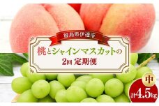 桃とシャインマスカットの定期便（中） 福島の桃 果物 先行予約 フルーツ 桃 モモ もも 葡萄 ブドウ ぶどう 福島県 伊達市 もも モモ momo F20C-786