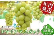 ＼年内発送／ こだわりの冬のシャインマスカット 約2kg 3~4房 F20C-799