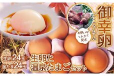 平飼い卵 とれたて発送「御幸卵」の生卵と温泉たまごセット（生卵24玉、温たま24玉） 伊達市 福島県 国産 養鶏場直送 卵 たまご 玉子 生卵 鶏卵 温泉たまご  F20C-760