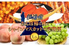 福島の桃 あんぽ柿と桃とシャインマスカットの定期便（ミニ） 果物 先行予約 フルーツ 桃 モモ もも 葡萄 ブドウ ぶどう 柿 カキ かき あんぽ柿 福島県 伊達市 もも モモ momo F20C-792