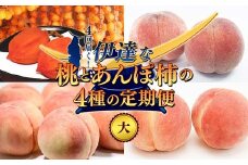 福島の桃 ４回届く！伊達な桃とあんぽ柿の4種の定期便（大） 果物 先行予約 フルーツ 桃 モモ もも 柿 カキ かき あんぽ柿 福島県 伊達市 もも モモ momo F20C-798