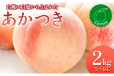 福島県産 あかつき 2kg 2025年7月下旬～2025年8月上旬発送 2025年出荷分 先行予約 予約 伊達の桃 桃 もも モモ 果物 くだもの フルーツ 名産品 国産 食品 F20C-829