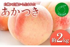 【2026年出荷分先行予約】福島県産 あかつき 約2kg (5～9玉) 遠藤果樹園 伊達の桃 桃 フルーツ 果物 もも モモ momo F20C-829