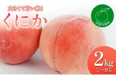 福島県産 くにか 2kg 2025年8月中旬～2025年8月下旬発送 2025年出荷分 先行予約 予約 伊達の桃 桃 もも モモ 果物 くだもの フルーツ 国産 贈り物 ギフト 食品 F20C-830