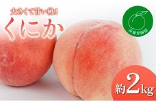 【2026年出荷分先行予約】福島県産 くにか 約2kg (5～9玉) 遠藤果樹園 贈り物 贈答 ギフト 伊達の桃 桃 フルーツ 果物 もも モモ momo F20C-830