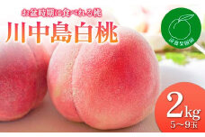 福島県産 川中島白桃 2kg 2025年8月中旬～2025年8月下旬発送 2025年出荷分 先行予約 予約 白桃 大玉 伊達の桃 桃 もも モモ 果物 くだもの フルーツ 国産 食品 F20C-831