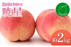 【2026年出荷分先行予約】福島県産 暁星 約2kg (5～9玉) 遠藤果樹園 ぎょうせい 伊達の桃 桃 小玉 フルーツ 果物 もも モモ momo F20C-832