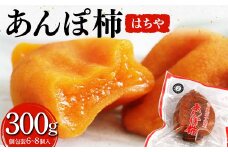 厳選 個包装 あんぽ柿(はちや)300g F20C-821