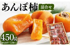厳選 個包装 あんぽ柿(詰合せ)450g F20C-827