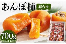 厳選 個包装 あんぽ柿(詰合せ)700g F20C-828
