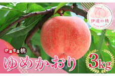 福島の桃 ゆめかおり 3kg 2025年9月中旬～2025年9月下旬 2025年出荷分 先行予約 予約 新品種 超大玉 大玉 固め 伊達の桃 桃 もも モモ 果物 くだもの フルーツ 国産 食品 F20C-839