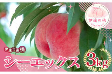 福島県産 シーエックス 3kg 2025年9月下旬～2025年10月上旬発送 2025年出荷分 先行予約 予約 大玉 固め 伊達の桃 CX 桃 もも モモ 果物 くだもの フルーツ 国産 食品 F20C-841