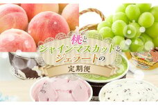 桃とシャインマスカットとジェラートの定期便 福島の桃 果物 先行予約 フルーツ 桃 モモ もも 葡萄 ブドウ ぶどう ジェラート ジャージー牛 福島県 伊達市 もも モモ momo F20C-804