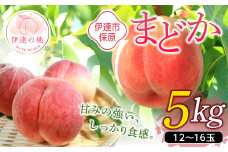 福島県産 まどか 5kg 2025年8月上旬～2025年8月中旬発送 2025年出荷分 先行予約 予約 大玉 固め 伊達の桃 桃 もも モモ 果物 くだもの フルーツ 国産 食品 F20C-899