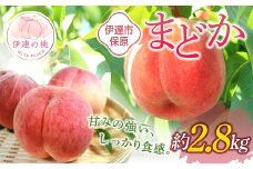 【2026年出荷分先行予約】福島県産 まどか 約2.8kg (8～12玉) あかい果樹園 大玉 固め 伊達の桃 桃 フルーツ 果物 もも モモ momo F20C-898