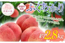 【2026年出荷分先行予約】福島県産 ふくあかり 約2.8㎏ (10～15玉) あかい果樹園 伊達の桃 桃 フルーツ 果物 もも モモ momo F20C-900